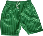 Bright Green (School) Sport Shorts (Emerald Green)